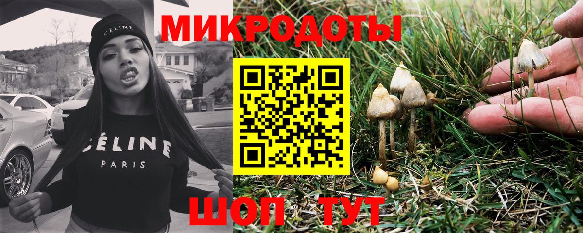 Нерюнгри  Галлюциногенные грибы Cubensis  Вход с VPN 