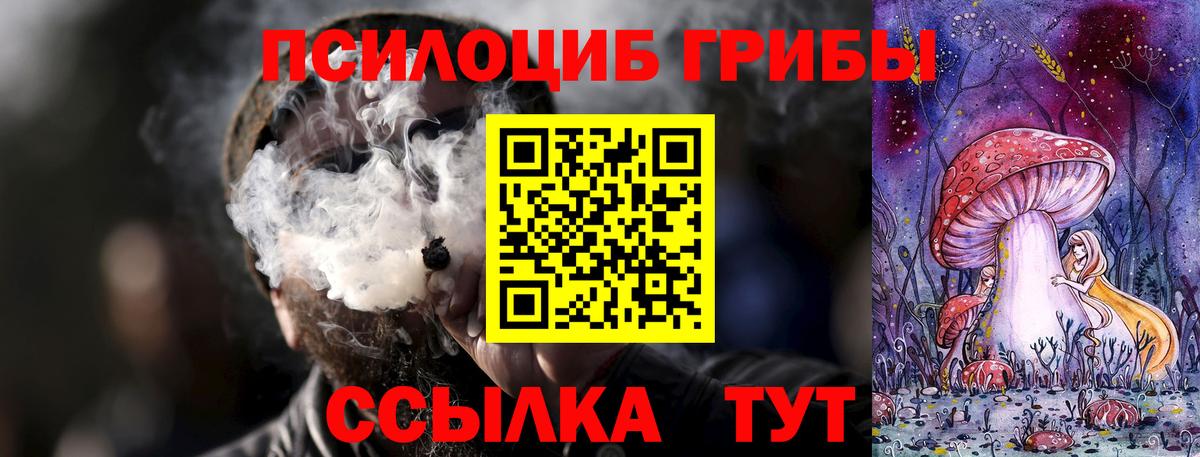Псилоцибиновые грибы прущие грибы Нерюнгри